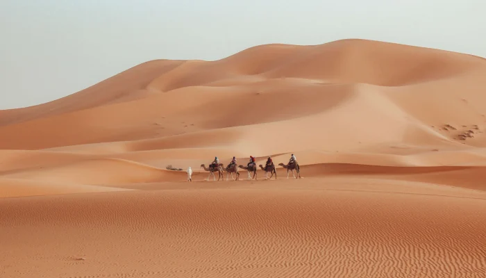10 Days Luxury Tour from Fes