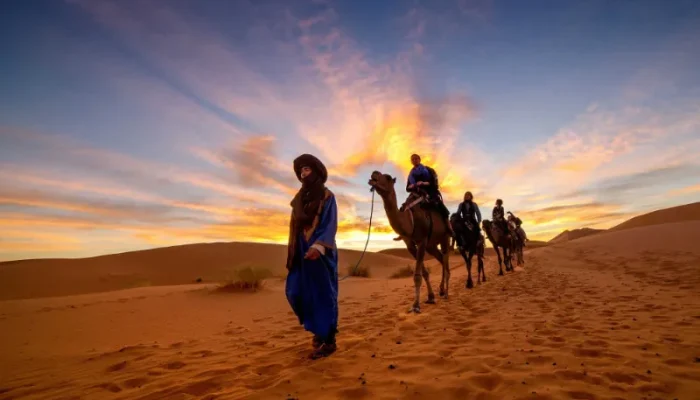 10 Days Luxury Tour from Tangie