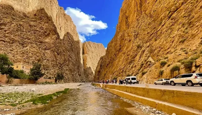 10 Days Luxury Tour from Tangie