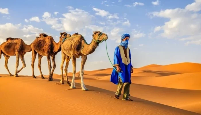 12 Days Luxury Tour from Casablanca