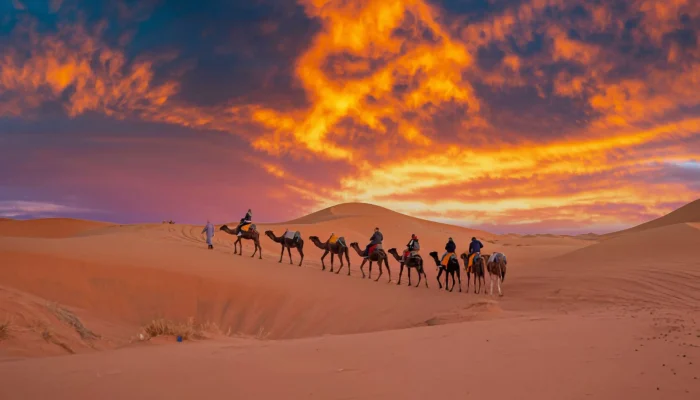 14 Days Luxury Tour from Casablanca