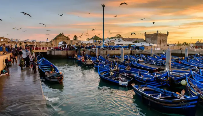 14 Days Luxury Tour from Casablanca
