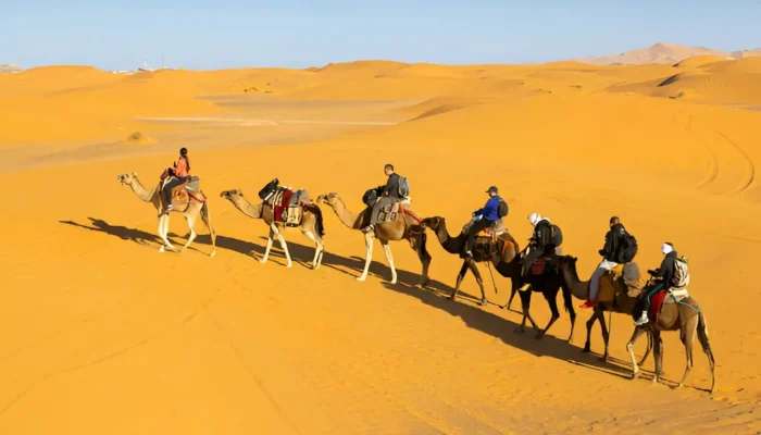 15 Days Luxury Tour from Casablanca
