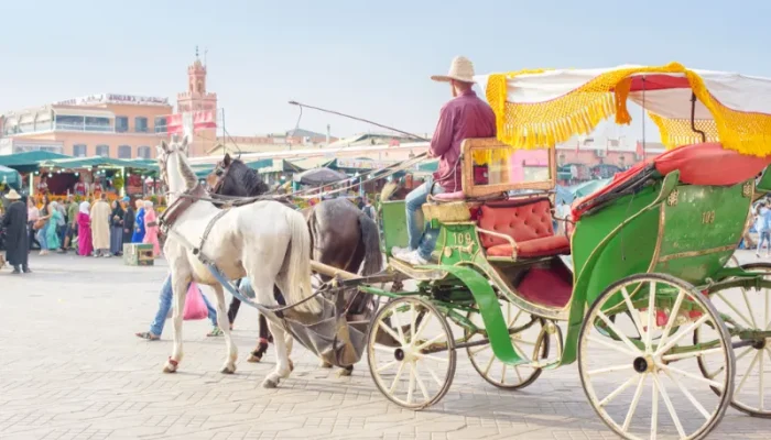 15 Days Luxury Tour from Marrakech