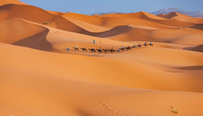 4 Days Luxury Tour from Marrakech To Fes