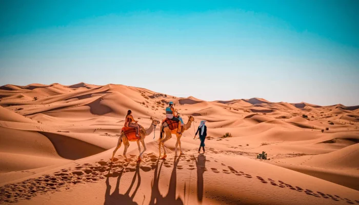 5 Days Luxury Tour from Fes