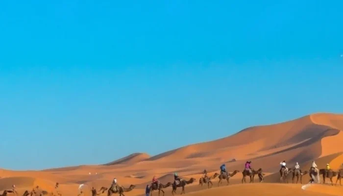 7 Days Luxury Tour from Casablanca