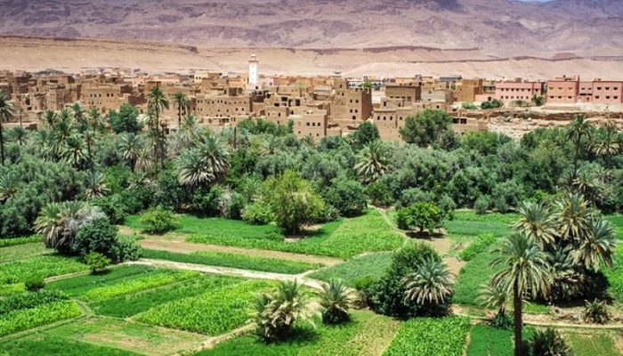 7 Days Luxury Tour from Fes