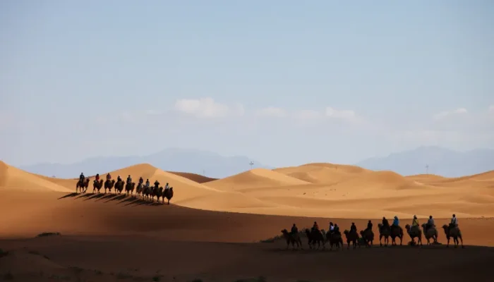 8 Days Luxury Tour from Casablanca