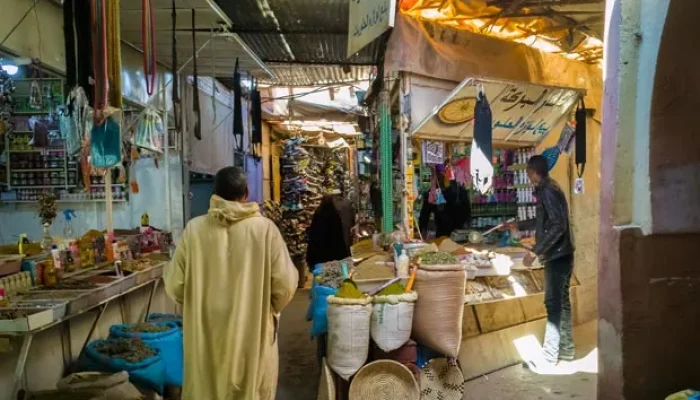 8 Days Luxury Tour from Casablanca