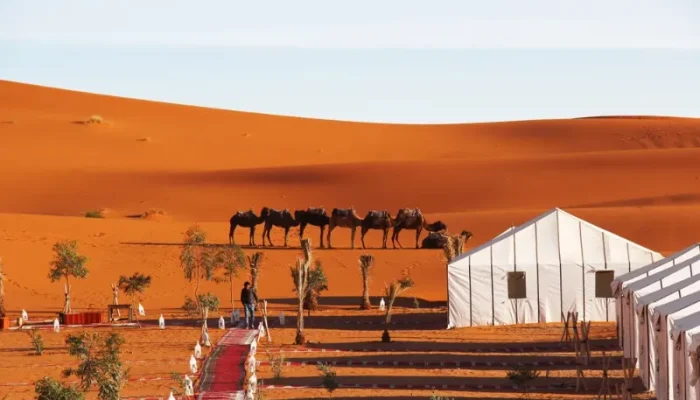 9 Days Luxury Tour from Marrakech